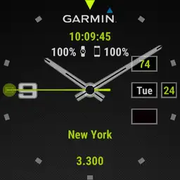 Garmin full info gray, green, white