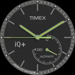 Timex iQ move activity