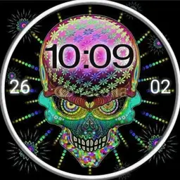 skull watch