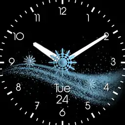 Ladies winter watch