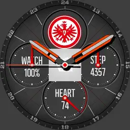 HUAWE WATCH PREMIUM 2 Copy