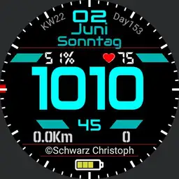 Schwarz65_Final_1.0.1