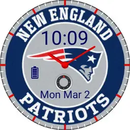 Patriots Fanface 2