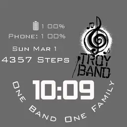 Troy Band Grey