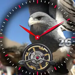 Manito Eagle