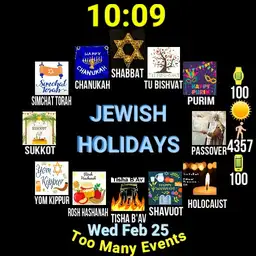 JEWISH HOLIDAYS & SHABBAT Star of David Automatically Display w/Animation - WOS6