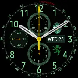 Samsung Gear S3 Frontier Sporting Copy