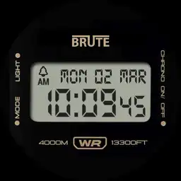 Brute ULTRA EXTREME Deep Diver Interactive All In One Digital Field Watch