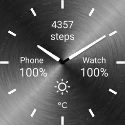 Brushed Watch