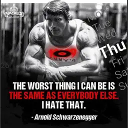 Arnold Motivation 1