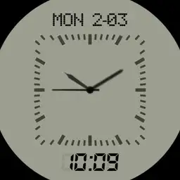 LCD peecons