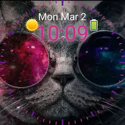 Galaxy cat