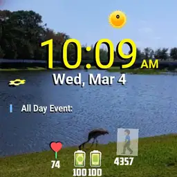 HOUSE LAKE VIEW w/Moving Bird & Boy - WOS6