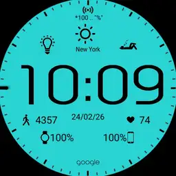 Ven_FinfoStats_LCD