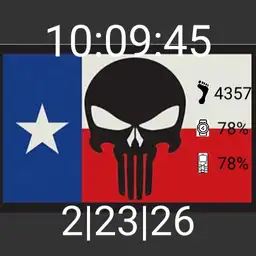 Texas Punisher