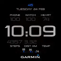 Savy garmin tic