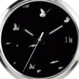 Flying White Butterflies