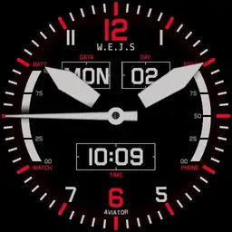 W.EJ.S AVIATOR