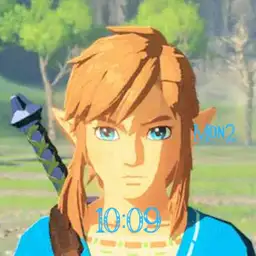 BOTW Link