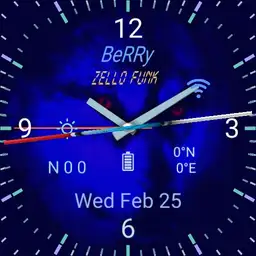 Berry s 2.Copy