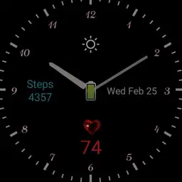 Analogue, H/R, Battery, Steps