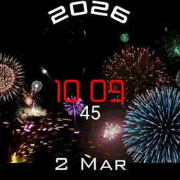 NEW YEAR