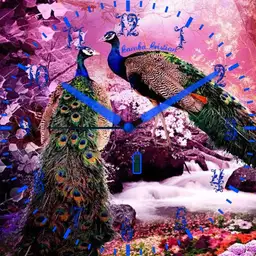 Peacock Lucy 2