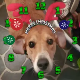 A Della Christmas