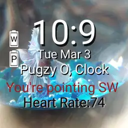Pugzy messing around