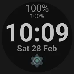 MZ dig dual apps v101