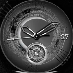 Grey Black n White Zoom