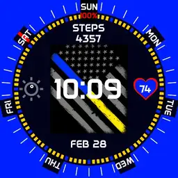 Thin blue/gold line 2