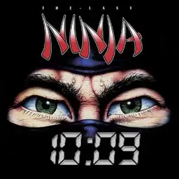 last ninja