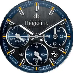 Michel Herbelin final Copy