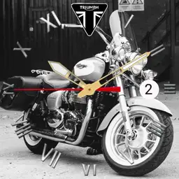 Triumph America