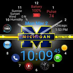 Michigan Complex