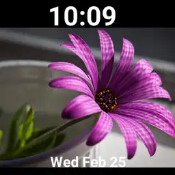flower