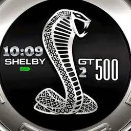 Shelby GT 500