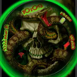 Snakes Skulls