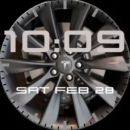 TESLA WATCH