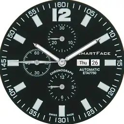 SmartFace Ontime
