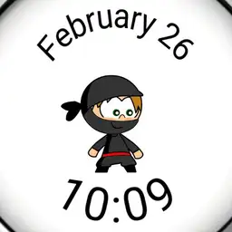 Little Ninja