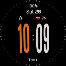 Garmin Fenix v2a