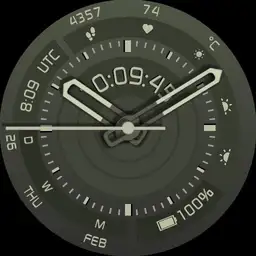 Brute TACTICZ Hybrid Multi Info Military Field Watch