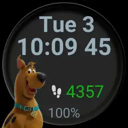 Kents Scooby Doo 2 with steps