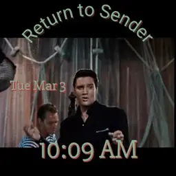 Elvis