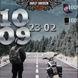 harley davidson mi watch