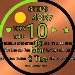 Copper Watch