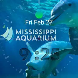 Mississippi Aquarium