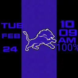 Detroit lions